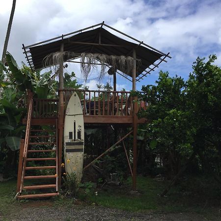 Wild Ginger Inn Hotel & Hostel ヒロ エクステリア 写真