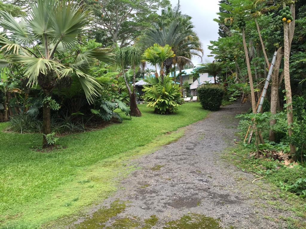 Wild Ginger Inn Hotel & Hostel ヒロ エクステリア 写真