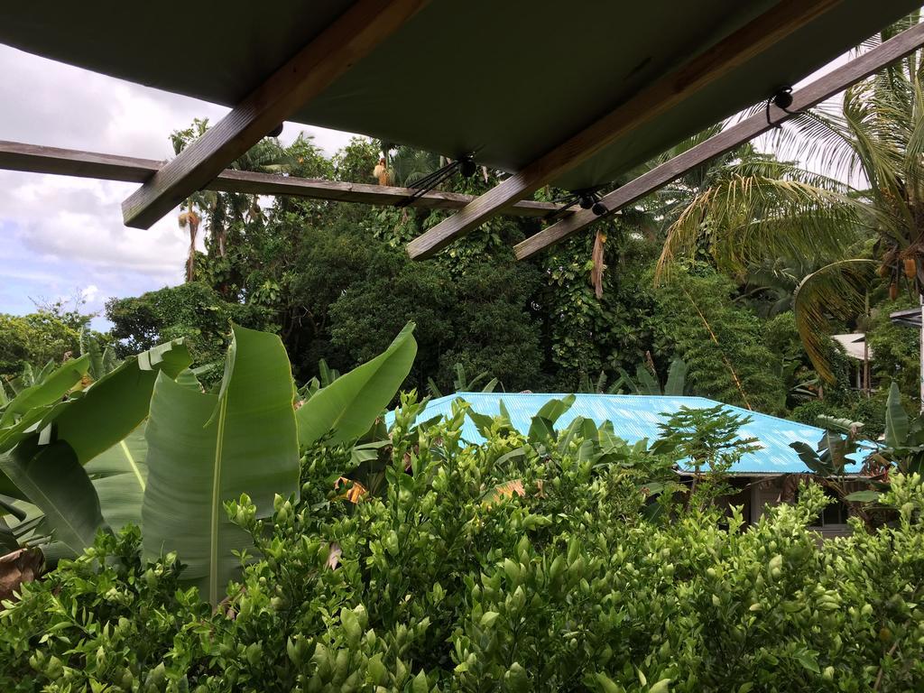 Wild Ginger Inn Hotel & Hostel ヒロ エクステリア 写真