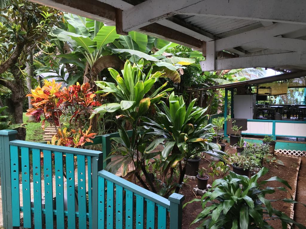 Wild Ginger Inn Hotel & Hostel ヒロ エクステリア 写真