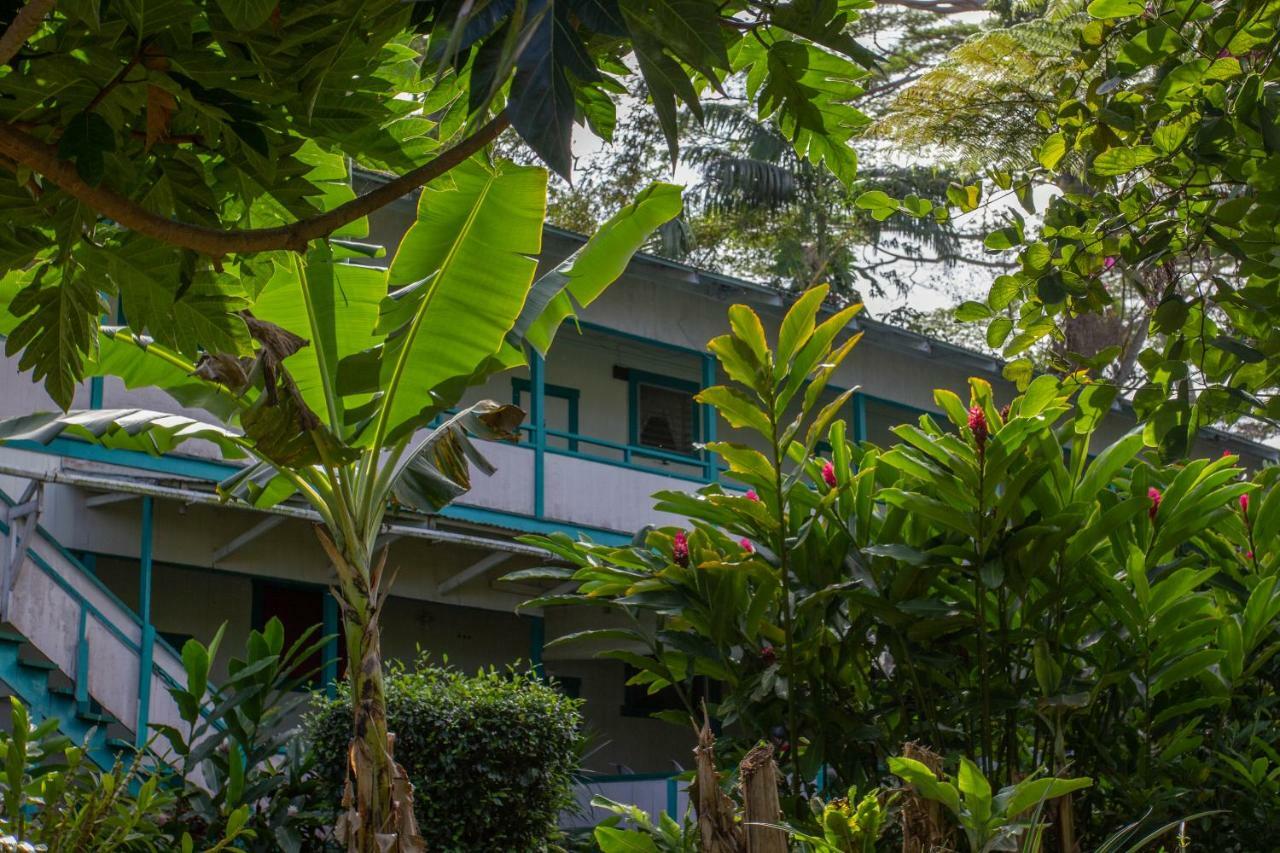Wild Ginger Inn Hotel & Hostel ヒロ エクステリア 写真