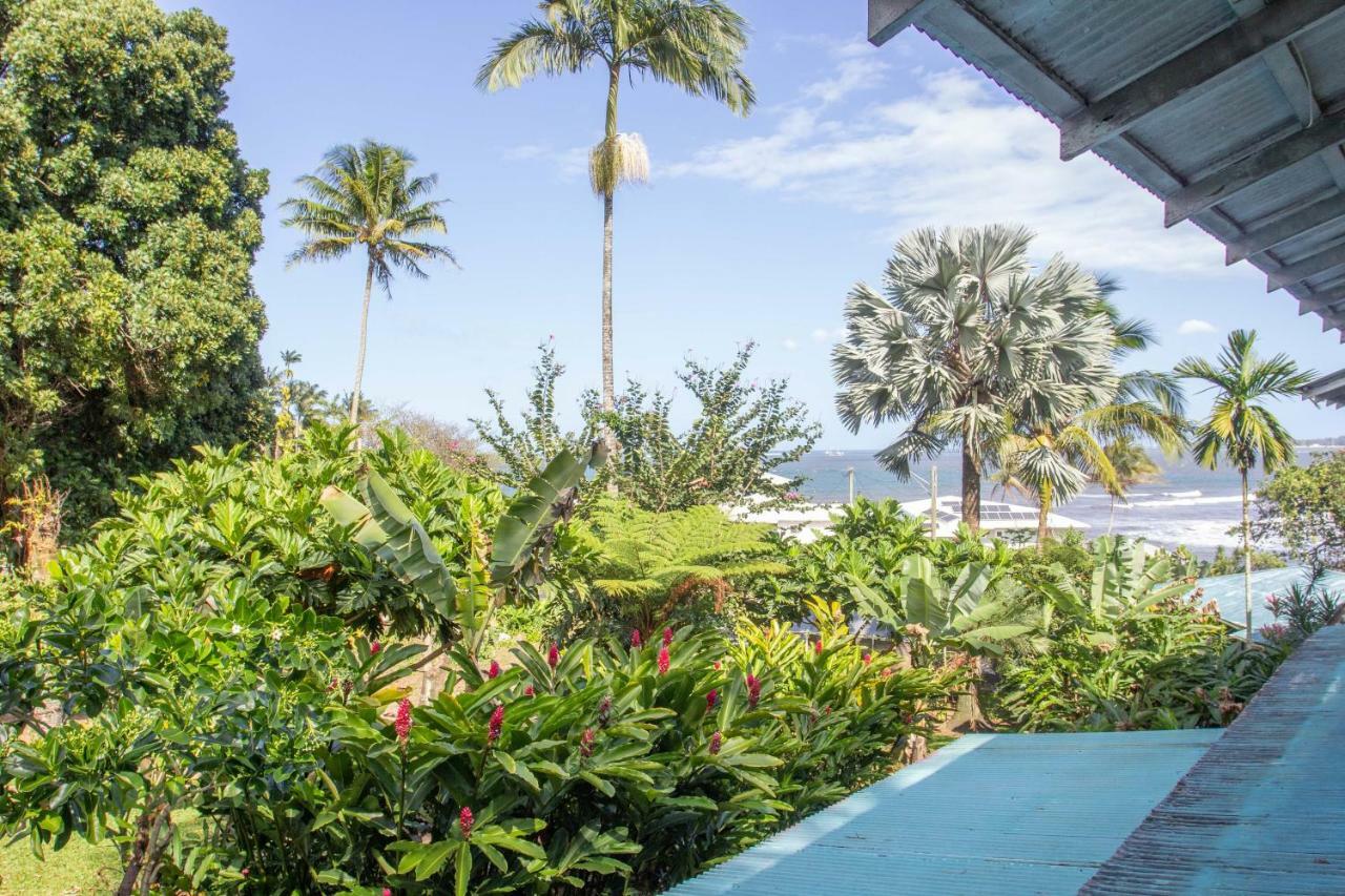 Wild Ginger Inn Hotel & Hostel ヒロ エクステリア 写真