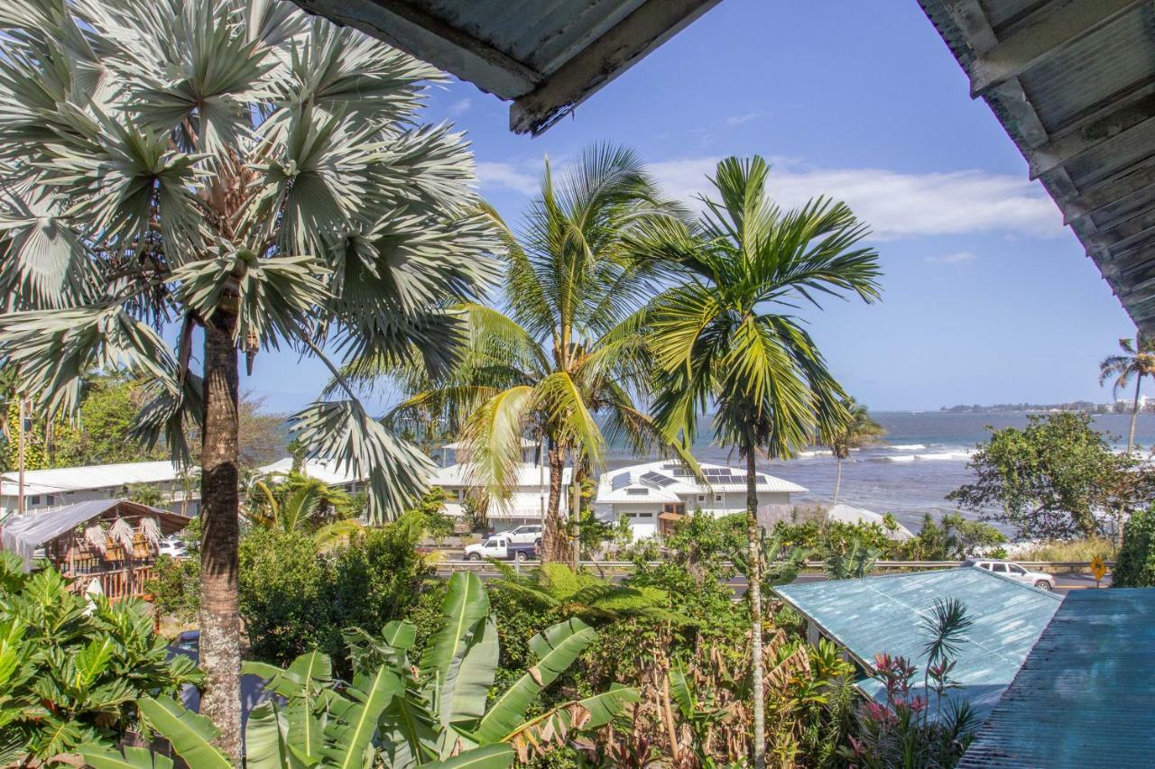Wild Ginger Inn Hotel & Hostel ヒロ エクステリア 写真